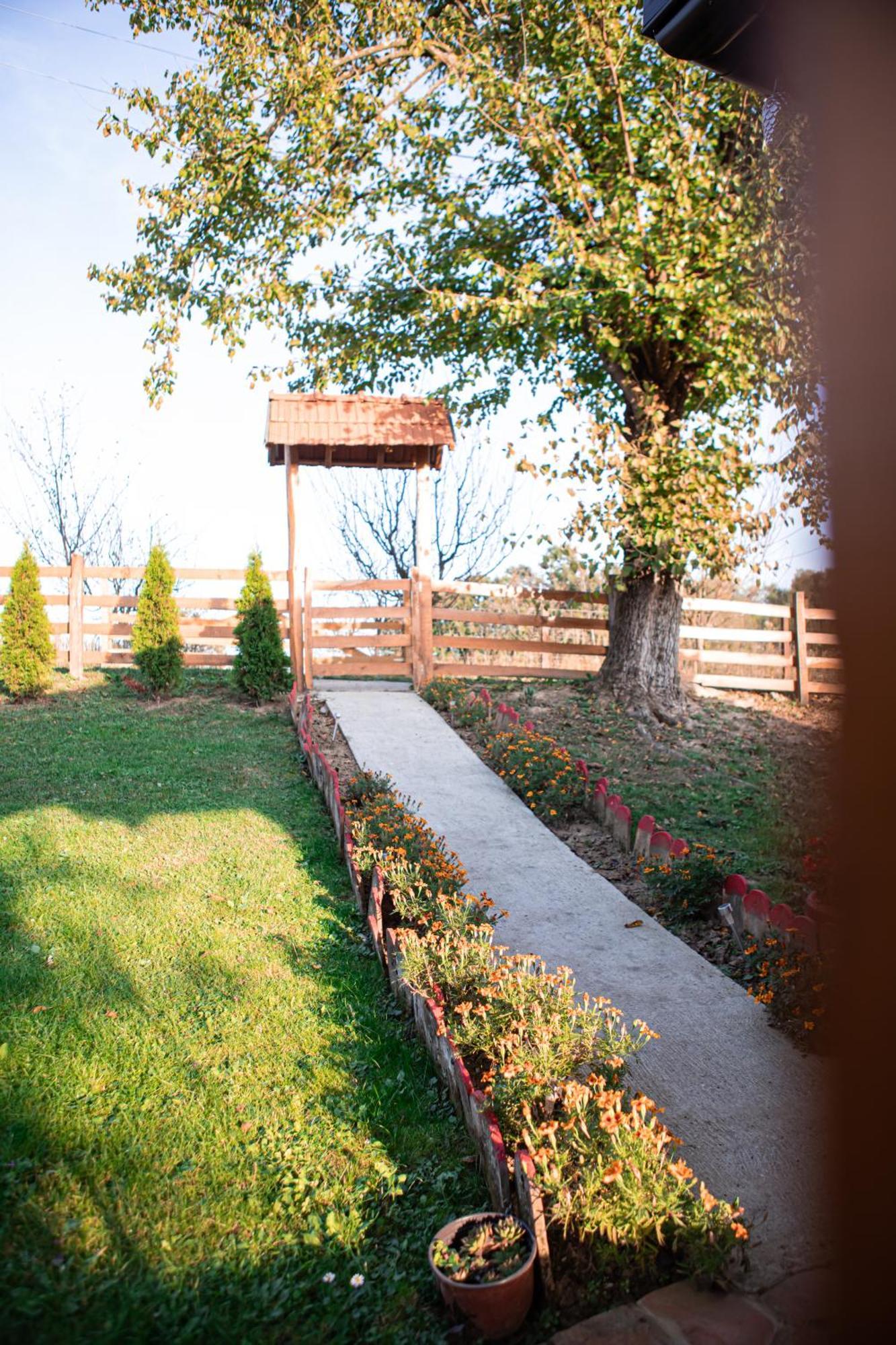 Prenociste Lelic Villa Valjevo Exteriör bild