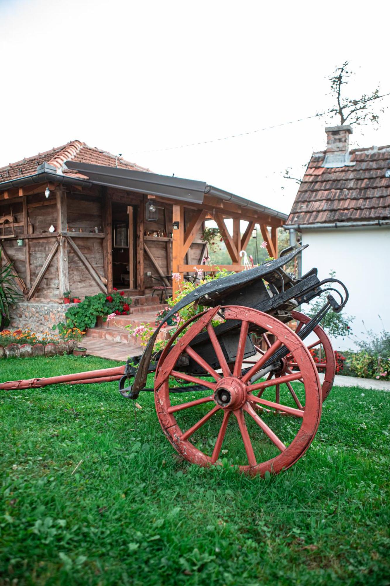 Prenociste Lelic Villa Valjevo Exteriör bild