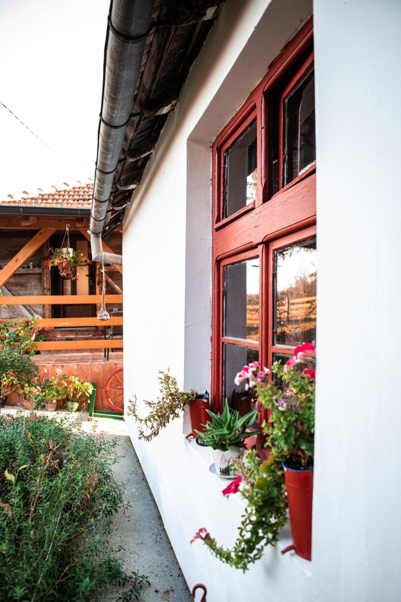Prenociste Lelic Villa Valjevo Exteriör bild