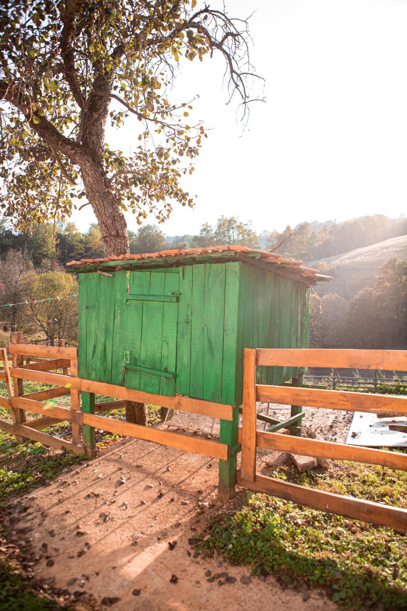 Prenociste Lelic Villa Valjevo Exteriör bild