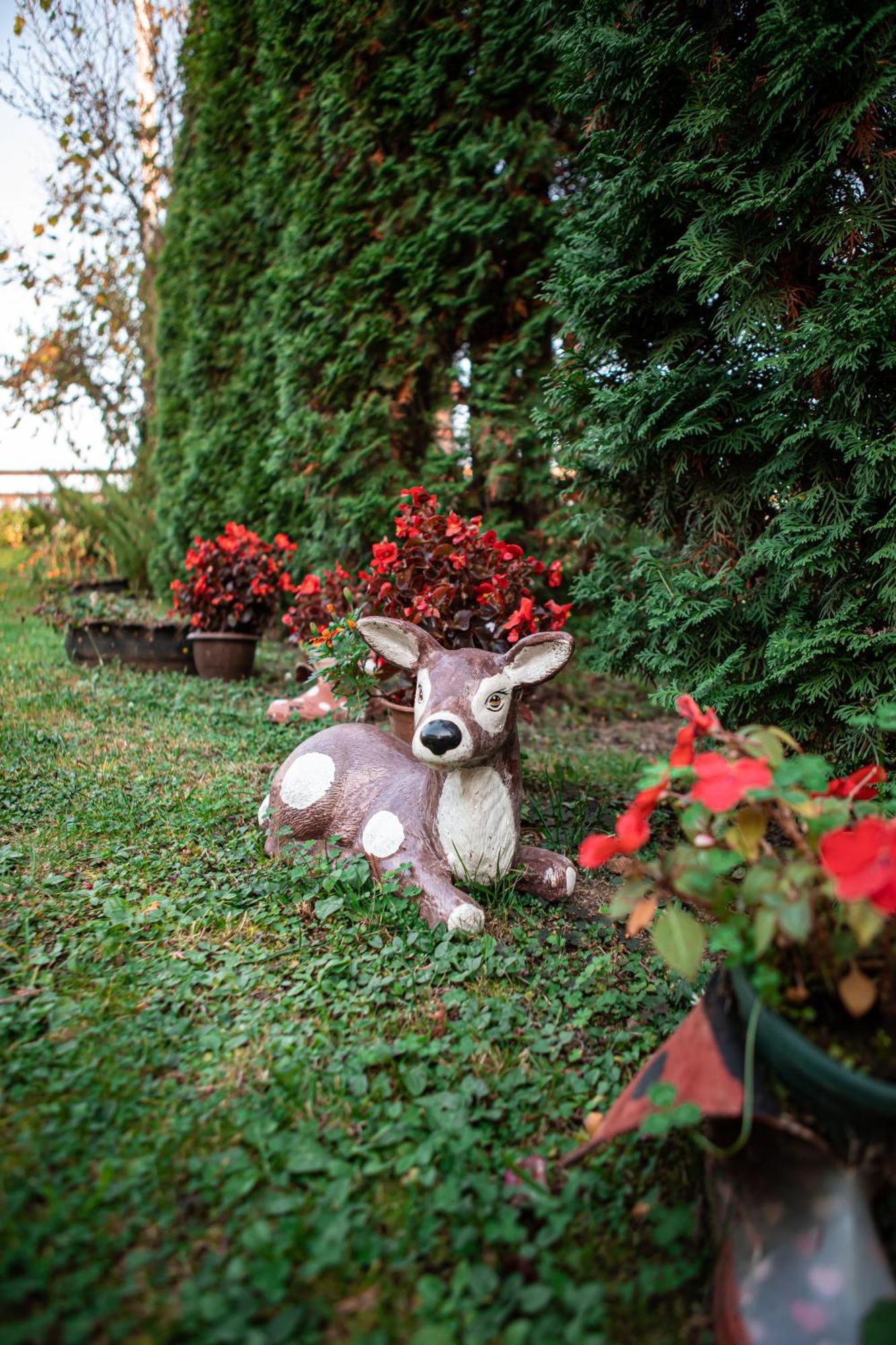 Prenociste Lelic Villa Valjevo Exteriör bild