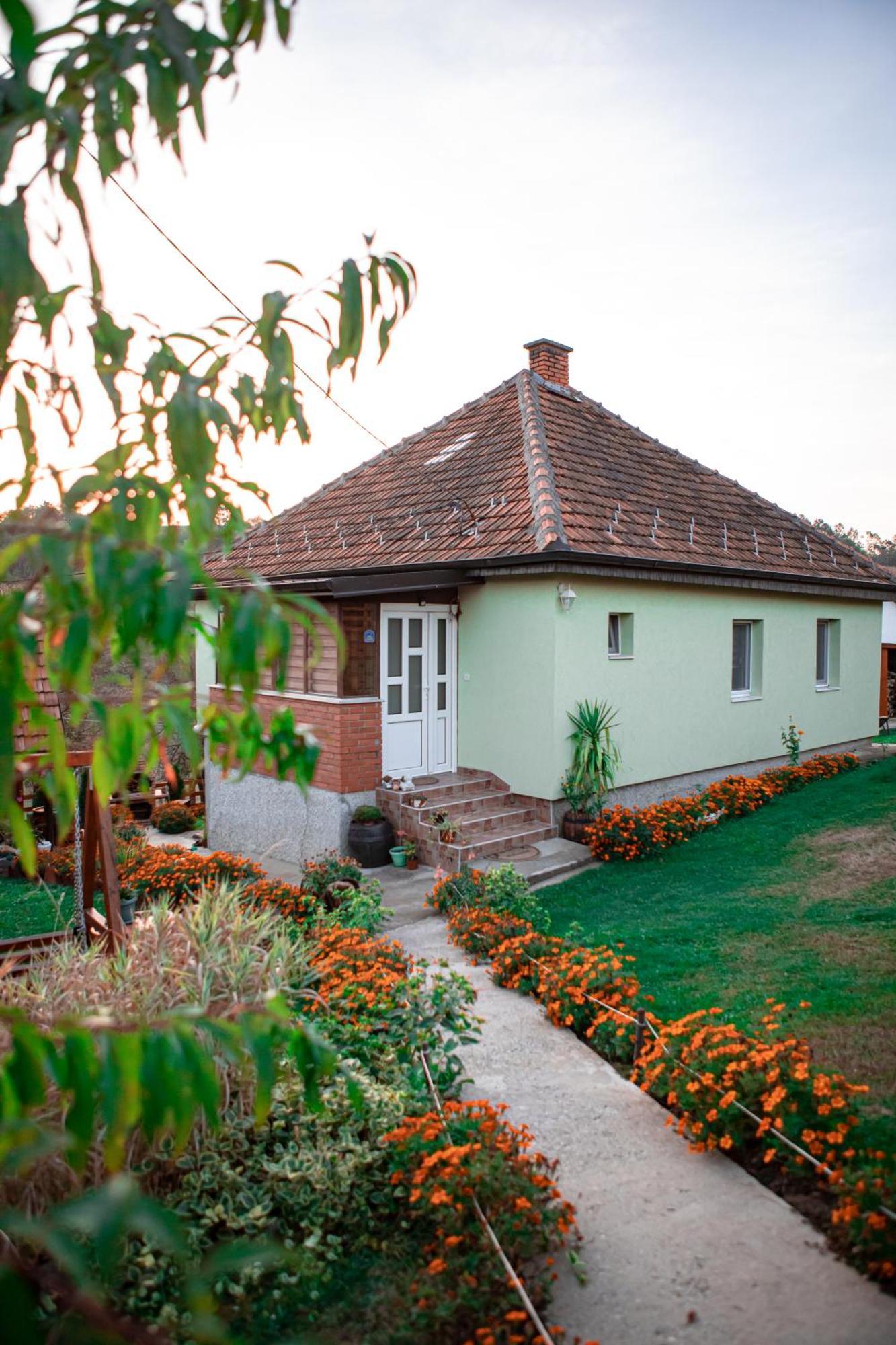 Prenociste Lelic Villa Valjevo Exteriör bild