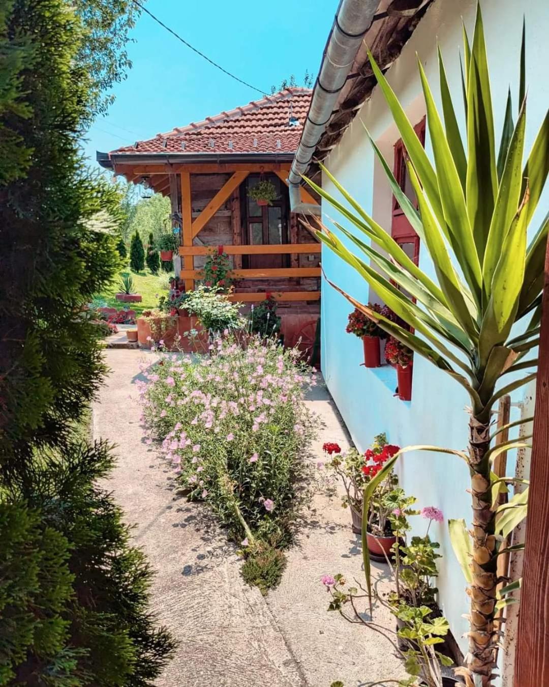 Prenociste Lelic Villa Valjevo Exteriör bild
